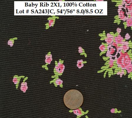 Baby Rib 2x1 Print - Click Image to Close